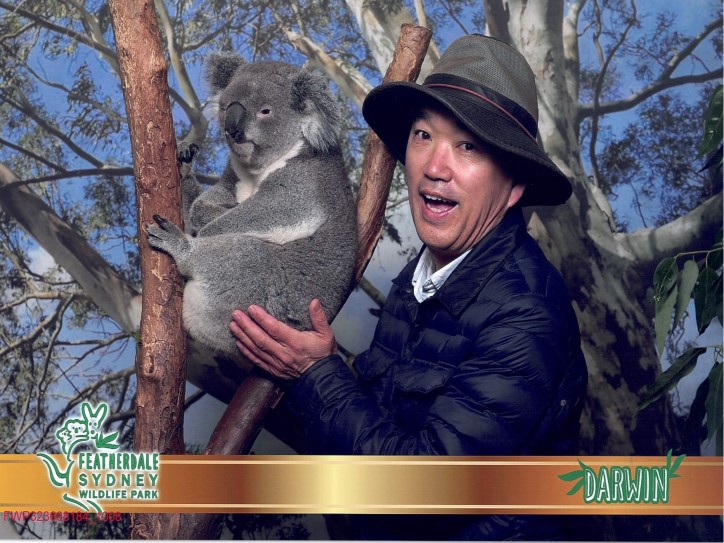 Koala Photo