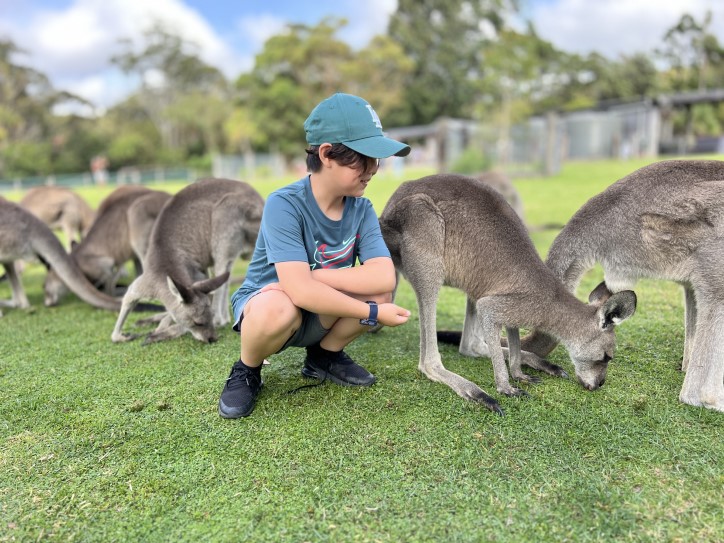 724 543 SYMBIO KANGAROO